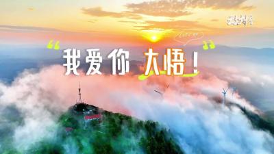 大美大悟，向阳而生！我爱你，大悟！