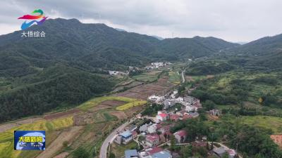 湖北大悟：林业飞防无人机显身手 高科技助力秸秆禁烧