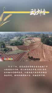 农技专班深耕一线   护航秋收秋播 “黄金期”