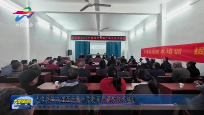 大悟县举办2025年粮油作物高产高效技术培训