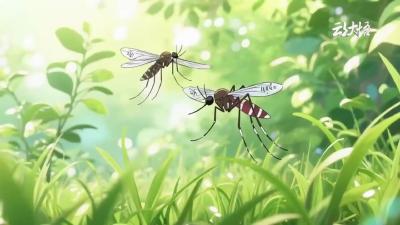 基孔肯雅热，从认识到预防，这些要点请记牢