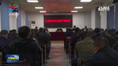 大悟县秋冬农业生产现场会召开