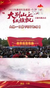 第三届“大别山上红旗飘”主题传播活动启动式现场，大悟一日签下137.96亿项目！