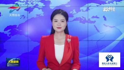 【牢记嘱托 建成支点】大悟：行进式情景剧《1946・中原突围》展演成功 让红色精神“走新”更“走心”