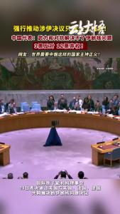 中国、俄罗斯投反对票！