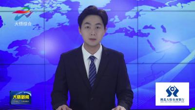 【争创示范县 打造动力源】大悟黄茶的 “特色突围”