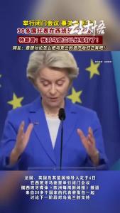 30多国代表在西班牙“密会”？