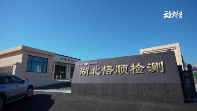 还在为年检排队发愁吗？想体验省心年检，就来湖北悟顺检测站吧！