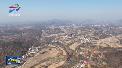 【争创示范县 打造动力源】大悟：“冬闲田”变“致富田” 生姜丰收带民富