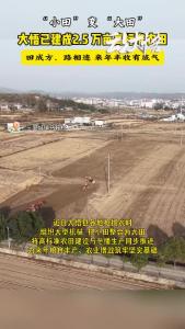 【争创示范县 打造动力源】“小田变大田”  加快推进高标准农田建设