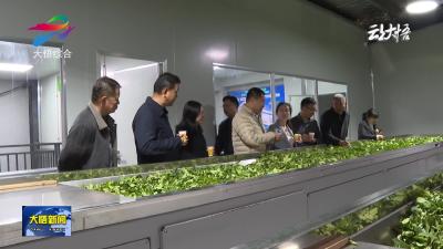 县人大常委会调研组开展“土特产”龙头企业培育情况调研