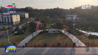大悟：镇企共建添新景 城东公园成居民休闲新选择