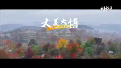 《大美大悟》第三期：大悟的秋 | 一叶红乌桕，染透大悟秋。