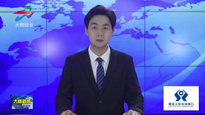 大悟：科学育种强药基  千亩野菊迎丰收