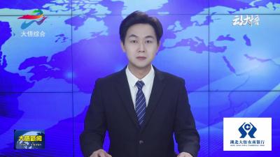 大悟县全力推进巩固拓展脱贫攻坚成果工作