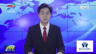 2025年湖北红色旅游季暨第三届“大别山上红旗飘”主题传播活动在大悟启动