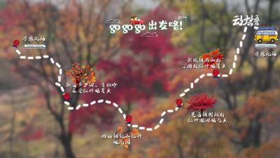 金秋好时节，大悟赏红叶。大悟赏红叶旅游线路图来咯！
