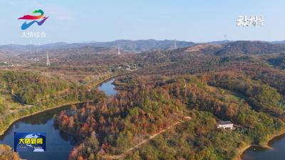 【争创示范县 打造动力源】草地音乐汇点亮大别山红色文化盛宴