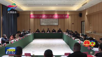 胡涛参加丰店吕王代表团审议