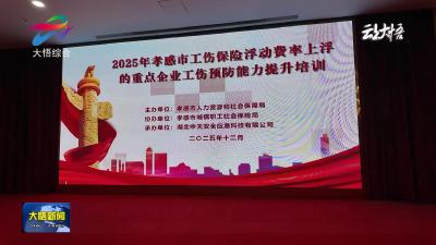 大悟县举办2025年孝感市重点企业工伤预防能力培训
