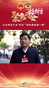 【两会好声音⑭】县人大代表 董能华：立足特色产业，争创“鄂北辣椒第一镇”！