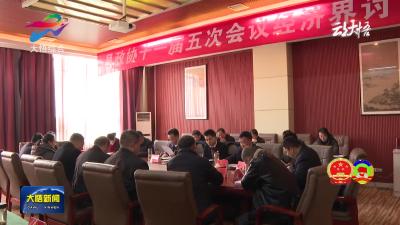 县领导参加经济界分组讨论