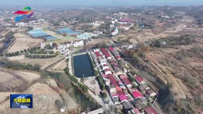 【乡村振兴看产业】夏店镇朝阳村：“订单农业+特色种植”赋能乡村振兴