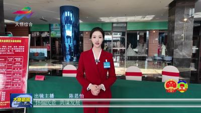 聚民意 献良策 县人大代表向大会报到