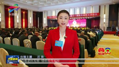 用心用情建言 共商发展大计——政协大悟县十一届五次会议开幕式侧记