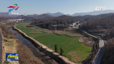 【乡村振兴看产业】大悟：15.3万亩油菜管护忙 施肥壮苗促成长