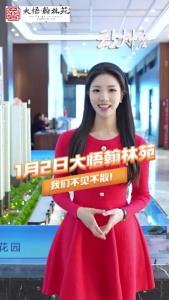 2026年元旦“乐购大悟·跨年消费嘉年华”②——大悟·翰林苑高品质住宅，1月2号，盛大启幕！