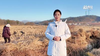 “秸秆”变“金柱”，看大悟稻草的魔法变身