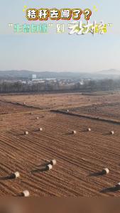 秸秆去哪了：从生态包袱到绿色财富 看秸秆的72变