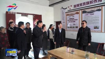 人民网湖北频道弘扬“大别山精神”调研活动走进大悟