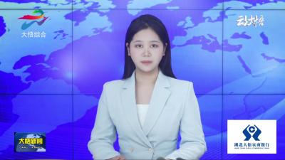 大悟：“空中战队”上线 为光伏板做“高空SPA”