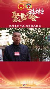 【两会好声音㉗】县人大代表 张文平：提质本村产业 改善重点民生