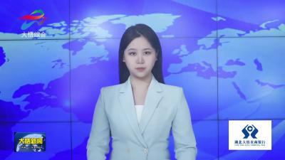 大悟县2025年度党委（党组）书记抓基层党建工作述职评议会议召开