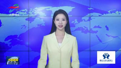 大悟县扎实推进安全稳定工作 确保岁末年初社会大局稳定