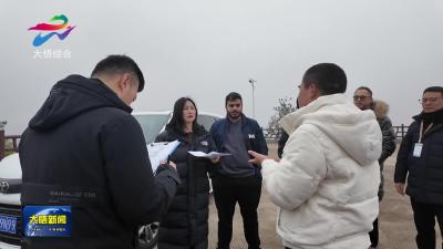 沙特外商考察团到大悟县抹茶基地参观考察