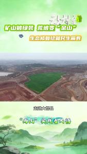 矿山披绿装 荒坡变“金山” ，生态修复绘就民生画卷