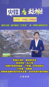 央媒关注大悟：腊月将近“打年鱼” 第一网预计捕捞2万斤