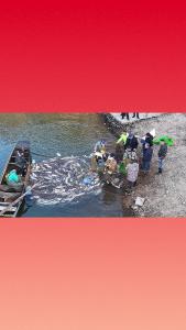 水跃鱼欢年味浓 大悟冬捕迎新春