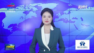 【学习贯彻党的二十届四中全会精神】茶路通 产业兴 大悟山村振兴有“良方”