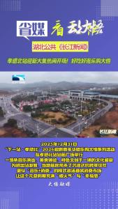 省台关注大悟：孝感北站迎新大集热闹开场！好吃好逛乐购大悟