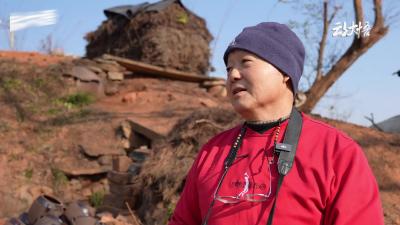 想念大悟地道的瓦罐煨藕汤吗？快回家喝汤吧！