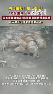 发生疫情了，高市早苗管了吗？