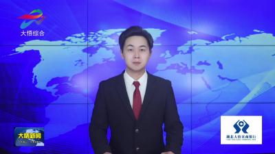 【新春走基层•学习贯彻两会精神（十一）】芳畈镇：擦亮“抗战小延安”名片 激活红绿发展新动能