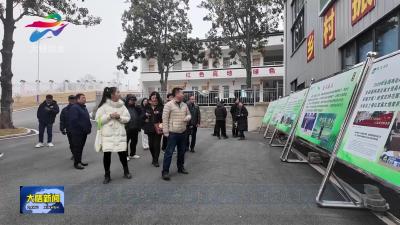  “新春走基层•红色大别山看变化”采访活动走进大悟