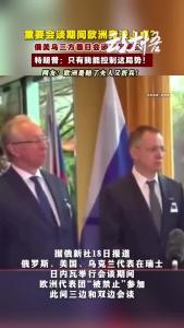 听说欧洲代表团又没上桌？