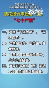 烟花爆竹零售店（点）“七个严禁”  